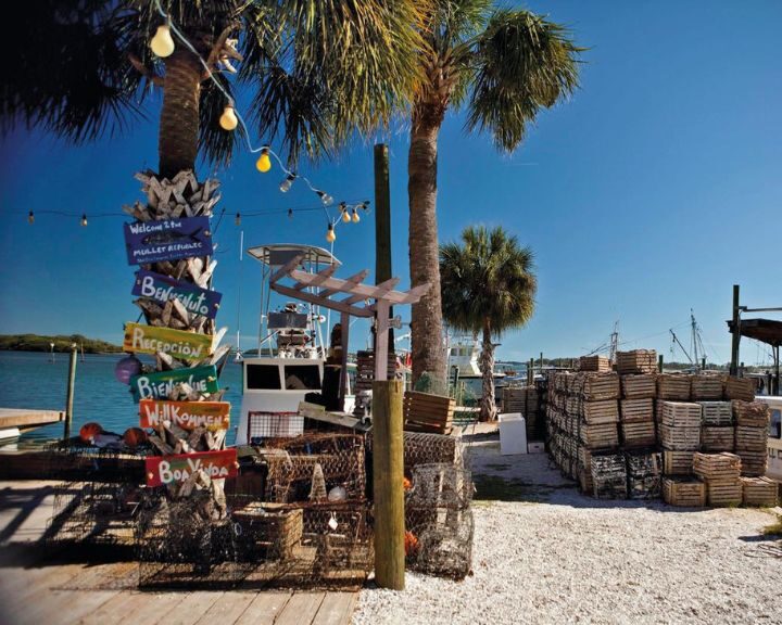 A boat docked at a dock with palm trees and a sign.