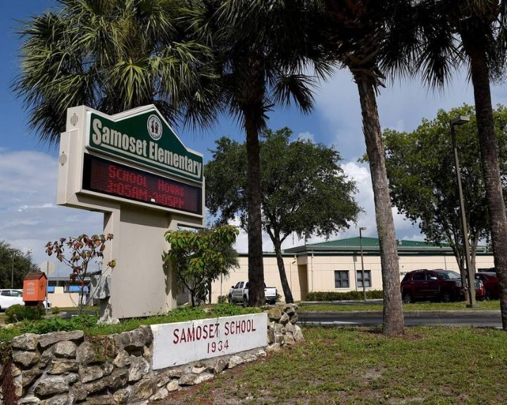 A school sign with palm trees in front.